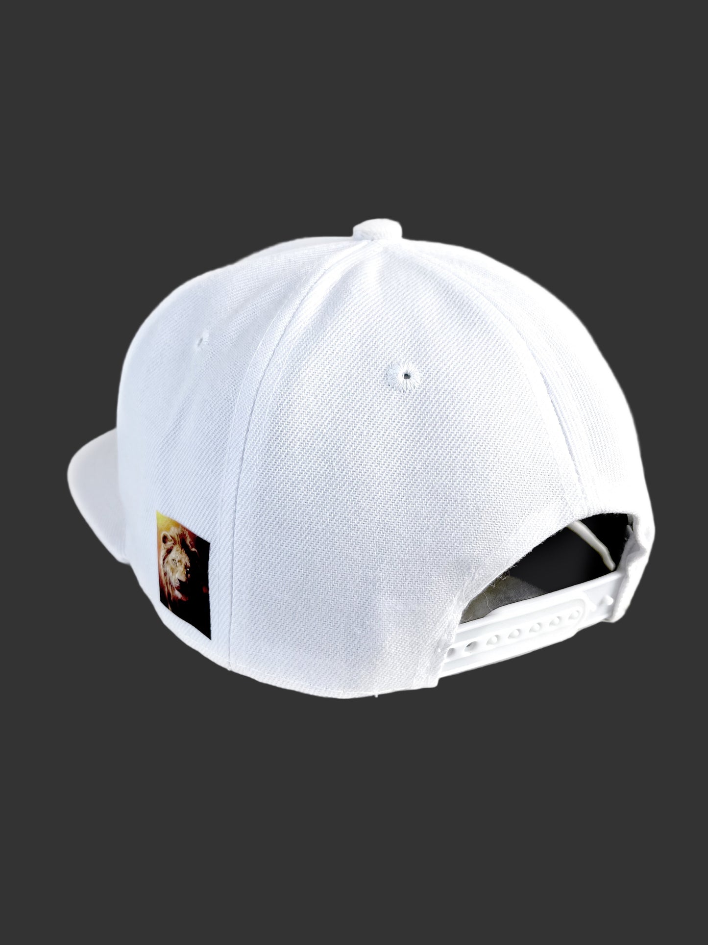 FitzOne White Flat-bill Snapback