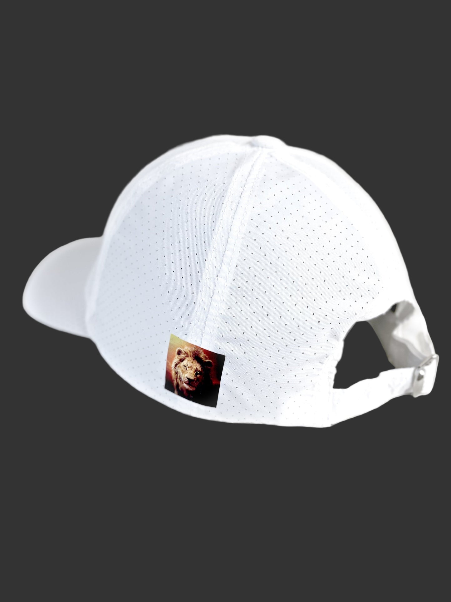 FitzOne White Sports Mesh Hat (Colored Logo)