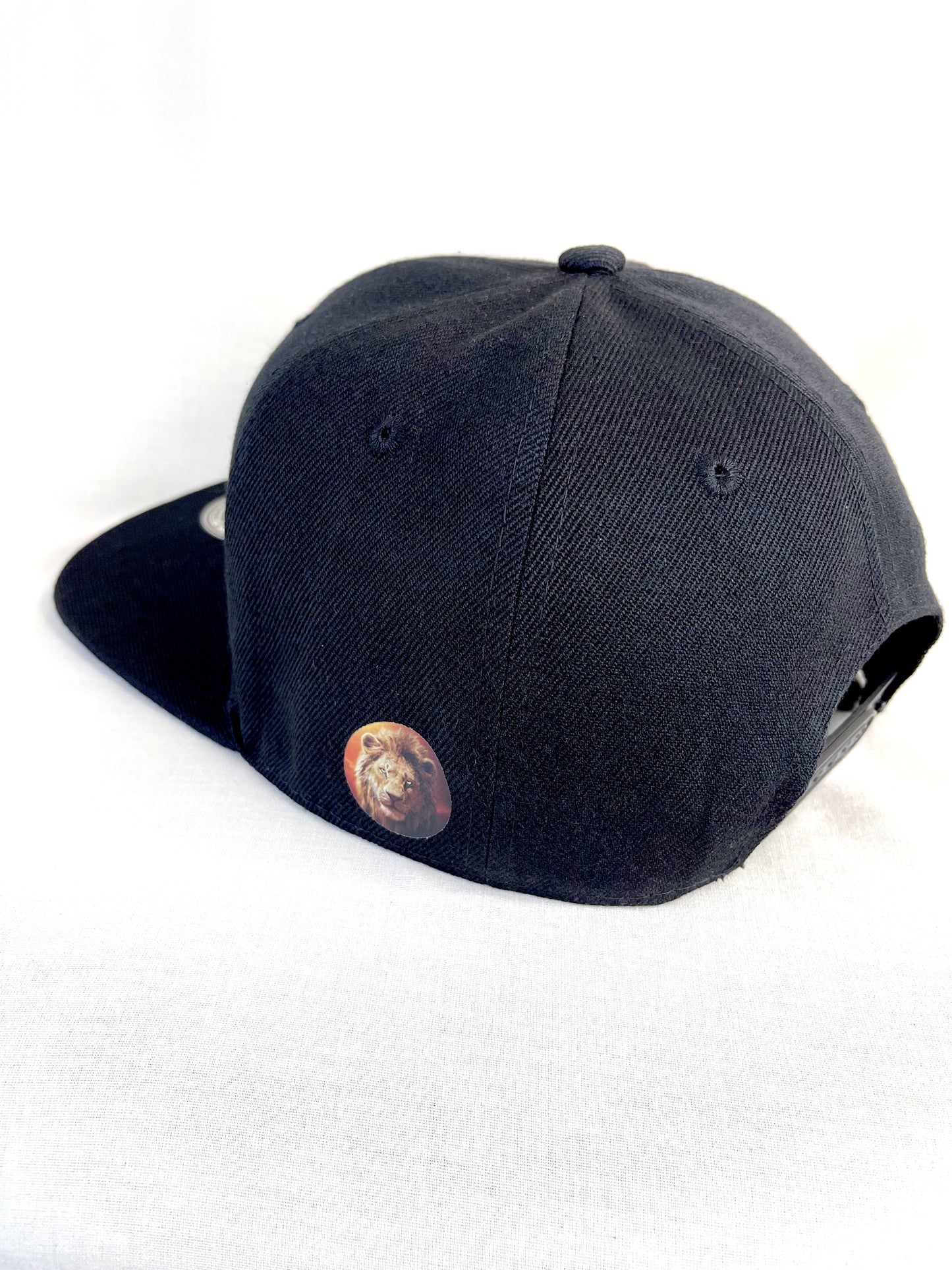 FitzOne Black Flat-bill Snapback (Colored Logo)