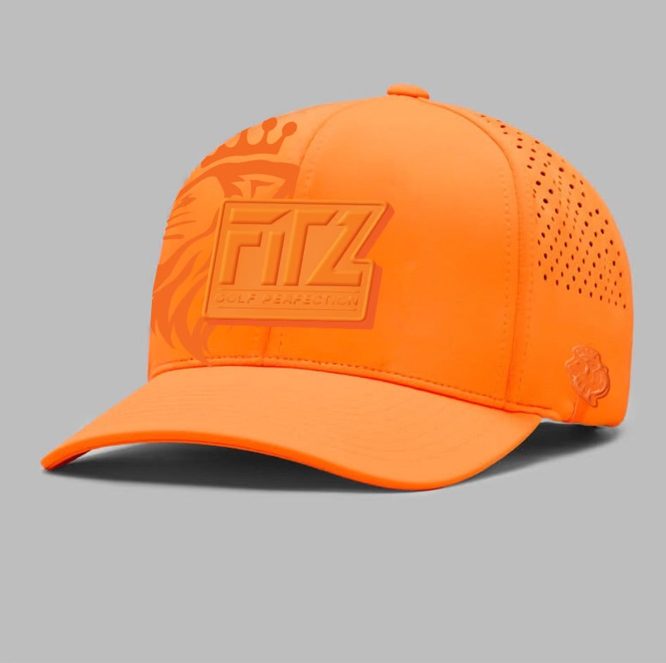 (Preorder) "Lions Domain" Collection water proof 6 panel hat (Aug 26) Release