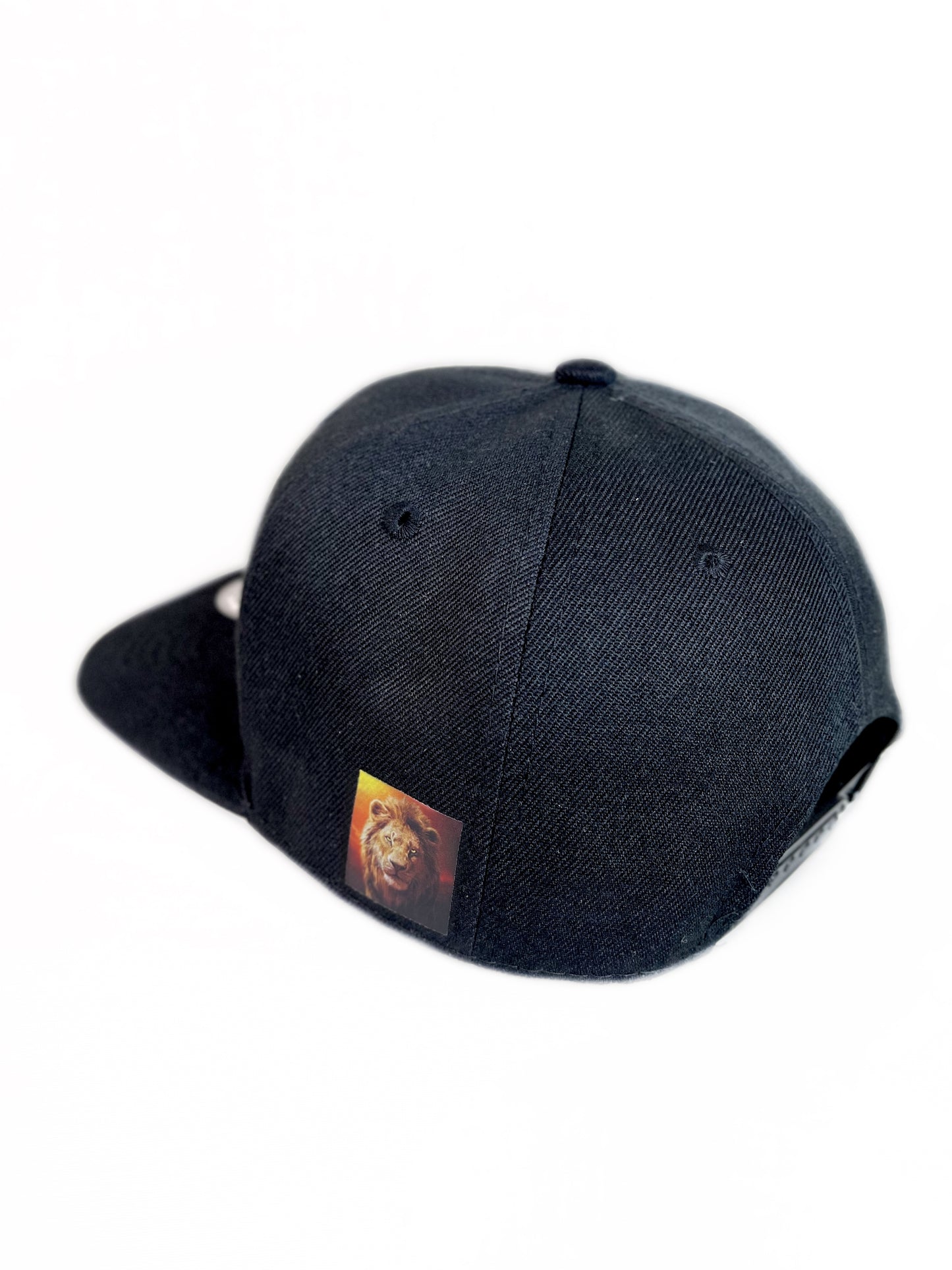 FitzOne Black Bling Snapback (Chameleon)